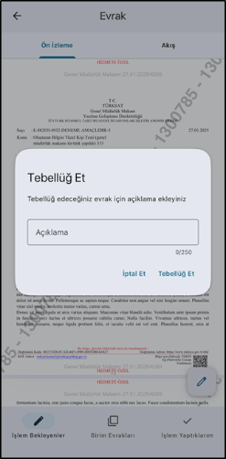 1780665158167-721.png