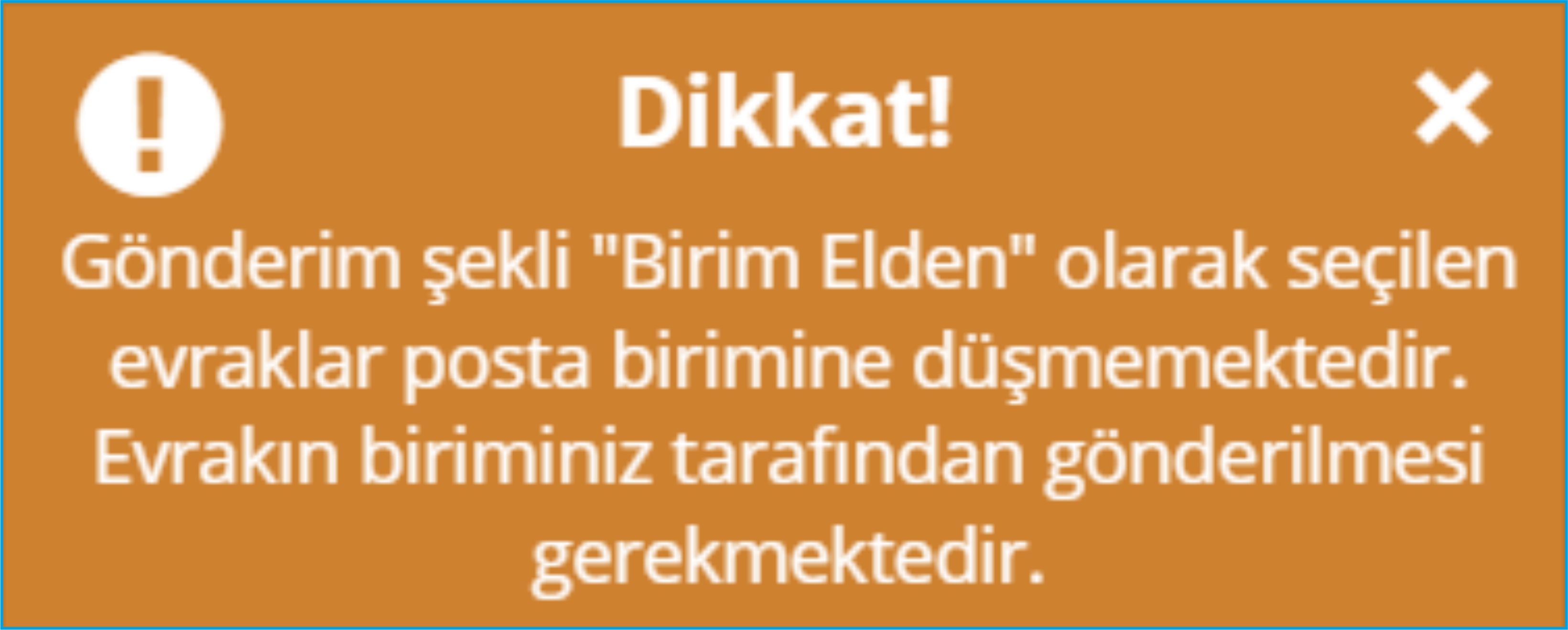 birim elden.jpg